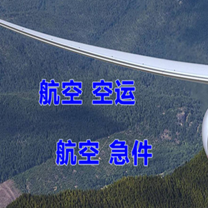 临沧博尚航空托运快递-选东方航空和上海航空